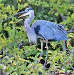 DSC_5860_001.JPG