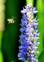 DSC_5877_001.JPG