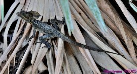 DSC_5899_stitch3_001.JPG