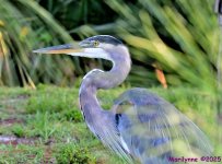 DSC_6161_001.JPG