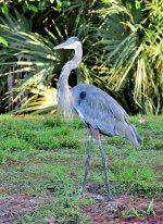 DSC_6162_stitch3_001.JPG