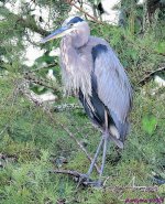 DSC_6294_001.JPG