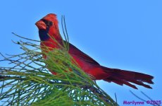 DSC_6370_001.JPG