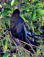DSC_6430_001.JPG