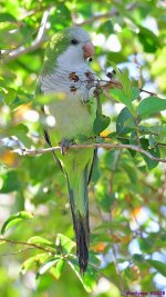 DSC_6545_001.JPG
