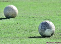 DSC_6611_001.JPG