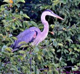 DSC_6628_001.JPG