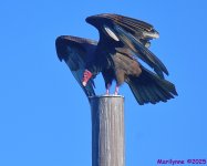DSC_6761_001.JPG