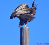 DSC_6763_stitch4_001.JPG