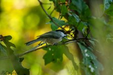 RD5_9556-Edit.jpg