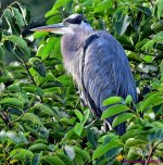 DSC_6864_001.JPG