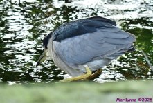 DSC_6930_001.JPG