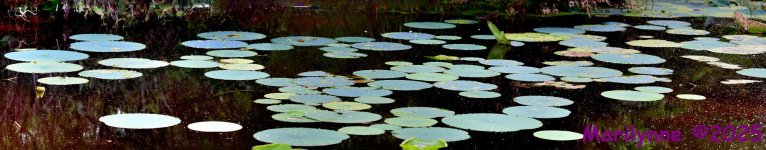 DSC_7066_stitch6_001.JPG