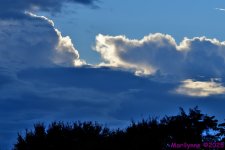 DSC_7196_001.JPG