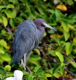 DSC_7225_001.JPG