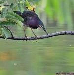 DSC_7226_001.JPG