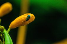 DSC_1726-Edit.jpg
