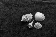 DSC_4024.JPG