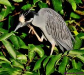 DSC_7522_001.JPG