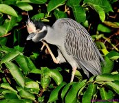 DSC_7523_001.JPG