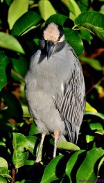 DSC_7544_stitch3_001.JPG
