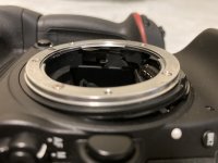 IMG_1695.jpeg
