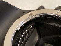 IMG_1691.jpeg