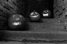 Three Pumpkins.jpg