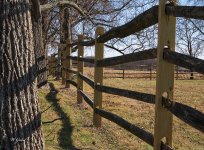 AlmsHousecemetery2 sm.jpg