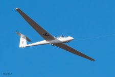 Glider-441.jpg