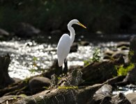 04 April (Medium).jpg