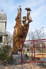 Thetreeboilingsprings 2 sm.jpg