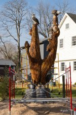 Thetreeboilingsprings 4 sm.jpg