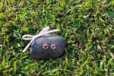 Pet Rock in Yard.jpg