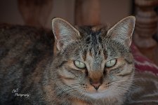 12-2-2025_D504138-ON1-CR .jpg