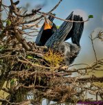 DSC_3148 copy_001.JPG