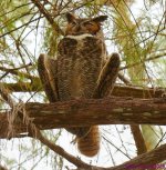 DSC_3836 copy_001.JPG