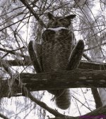 DSC_3840.stitch_001 bw.JPG