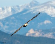 EagleMountains-481.jpg