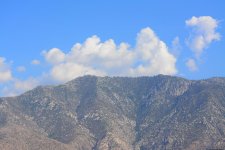 DSC_0887.jpg