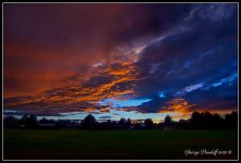 Day239Sunset.jpg