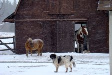 DSC00030.jpg