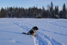 DSC09130.jpg