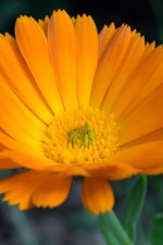 DSC_0025.jpg