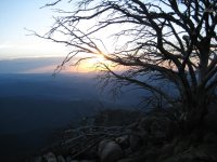 Mt Buffalo (22).jpg