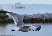DSC_5064.jpg
