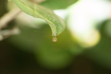 SHM_0779.jpg