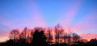 DSC_1934.JPG