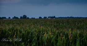 20130826-_1RB9608.jpg