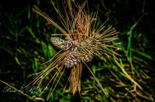 20130827-_1RB9609.jpg
